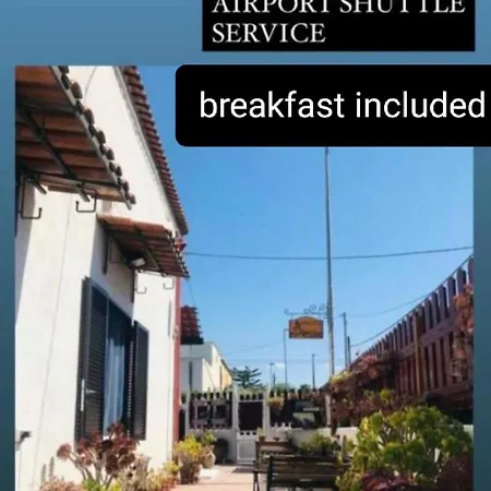 B＆b ポンペイログ 3*